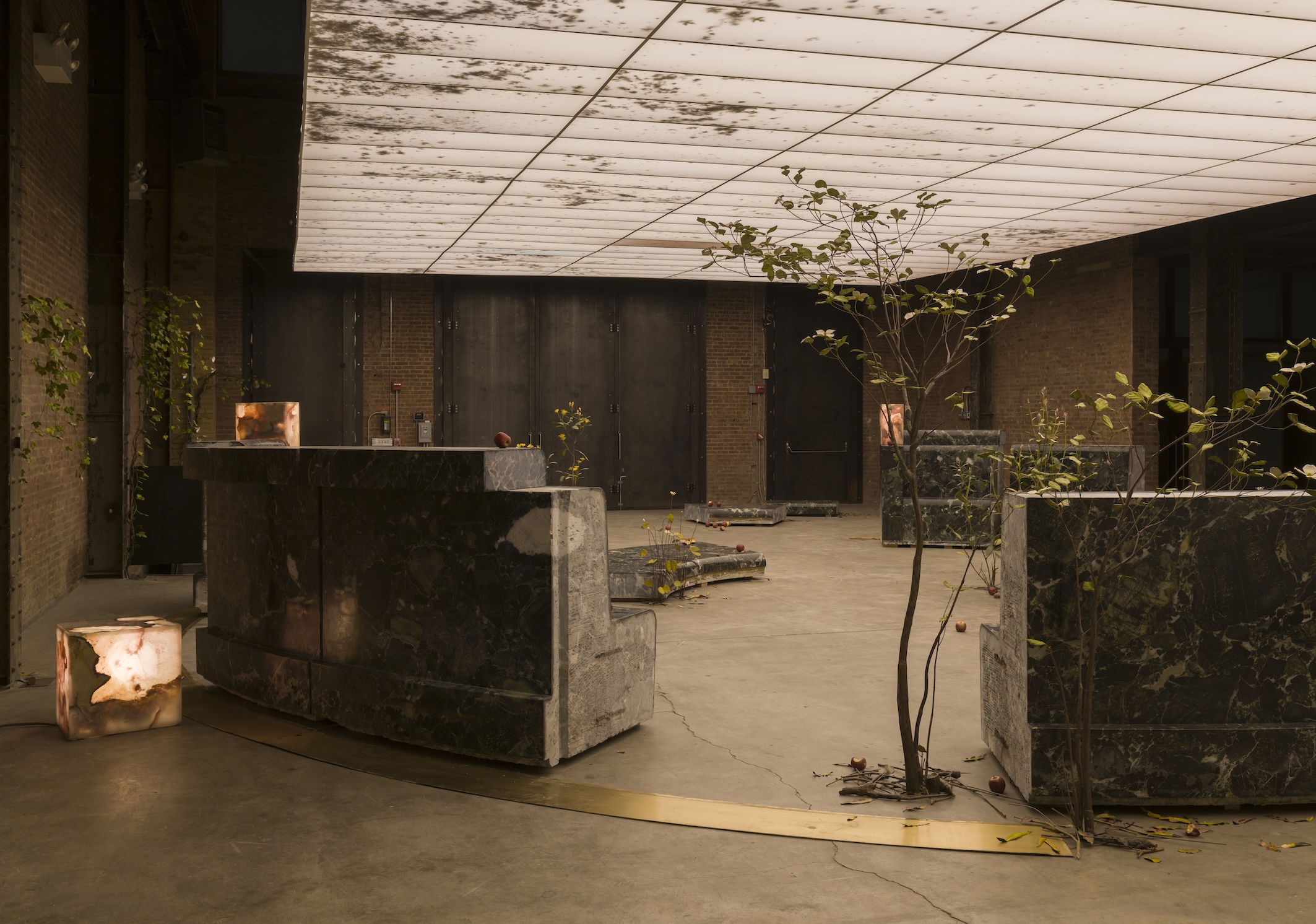 Abstract stone benches of varied sizes and shapes on display with trees growing between them at the SculptureCenter