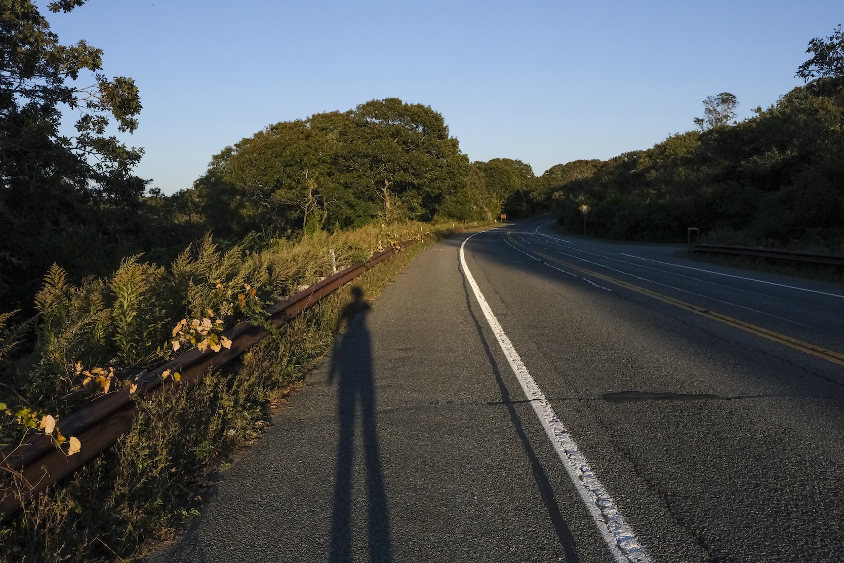 Shadow of person walking on paved road with trees on either side